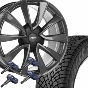 18" Tesla Model 3 R214 Winter Tire and Wheel Package